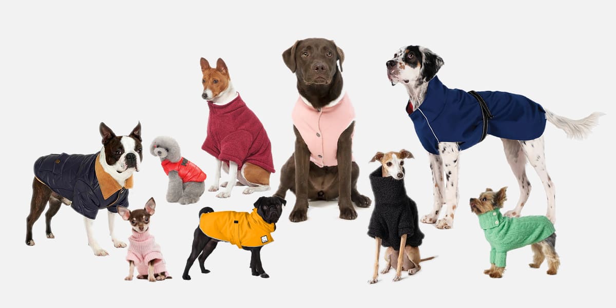 Dog Coats Dog Jackets Designer Luxury Dog Harnesses