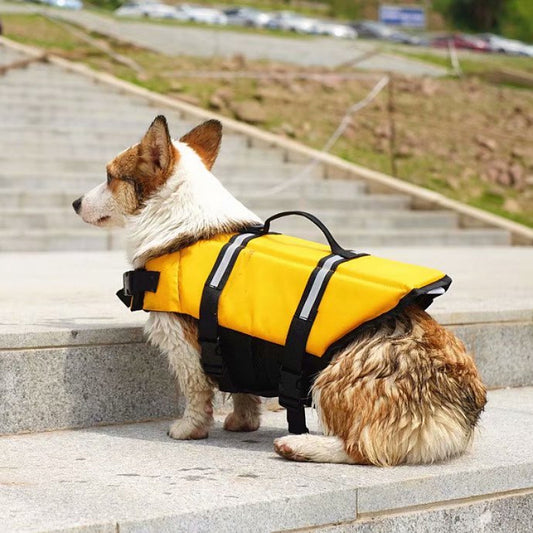Dog Life Jacket Corgi
