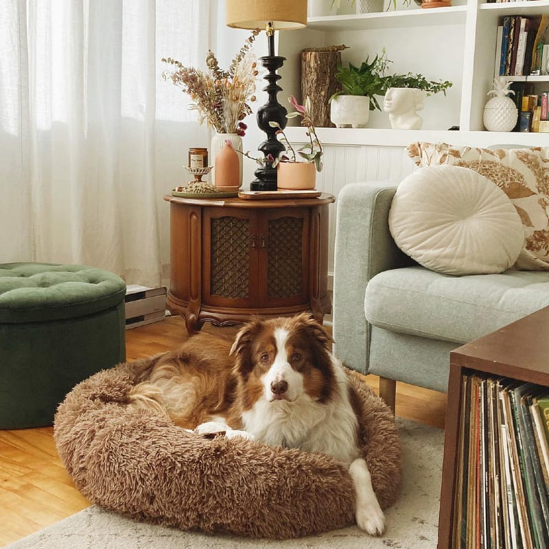 Anti Anxiety Dog Bed 