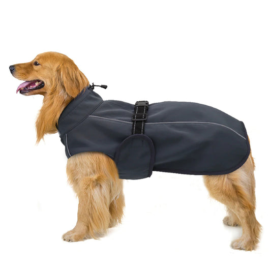 Waterproof Dog Coat with harness