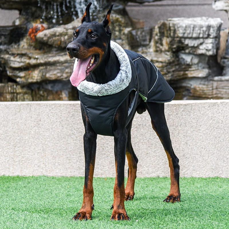 Dog Coats UK