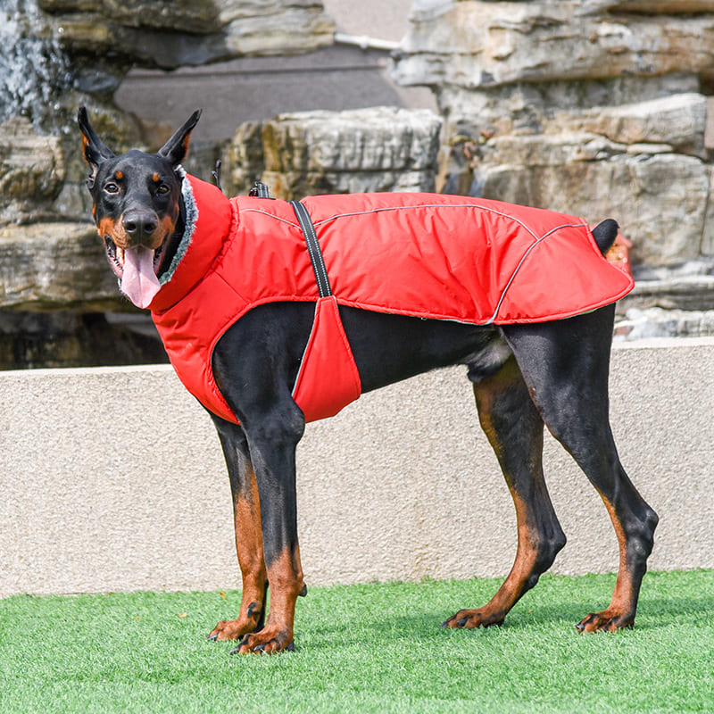 Large Dog Coats