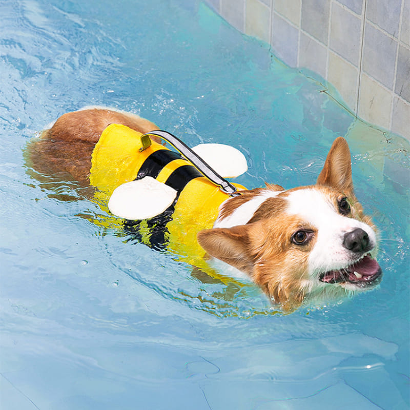 Dog Life Jacket Swimming Floating Bee