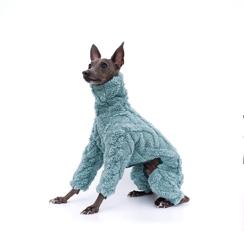 Iggy Dog Coat