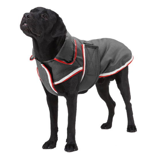 Waterproof Dog Coat 