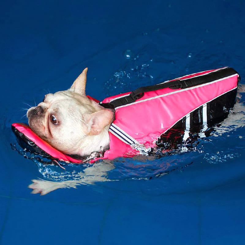 Dog Life Jacket Neck Float