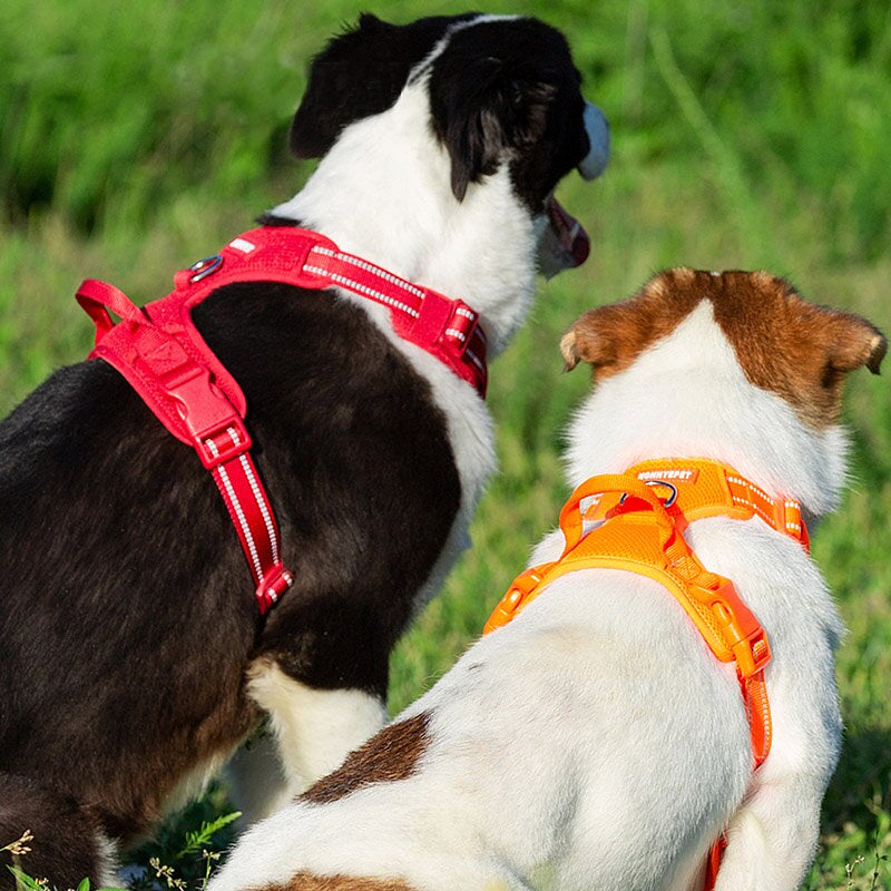 Dog Harnesses Large Pet Vest Reflective